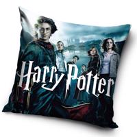 Carbotex Obliečka na vankúšik Harry Potter Čarodejníkovi Učni, 40 x 40 cm