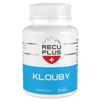 RECUPLUS Kĺby, 90 tabliet