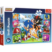 Trefl Puzzle Sonic Zoznámte sa s ježkom, 100 dielikov